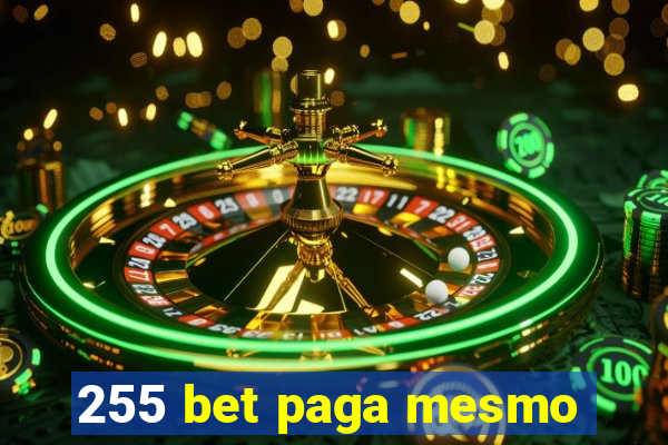 255 bet paga mesmo